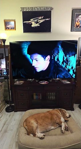 Pet Sematary 1989 Fantastic Moves & Adaptation #1980s