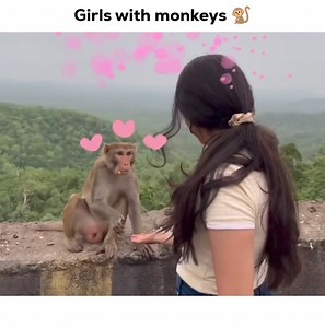 Girls with monkeys 🐒 | Watch Memes Without Depression