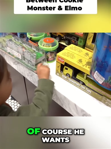 Toddler's Hilarious Candy and Elmo Cookie Monster Choice