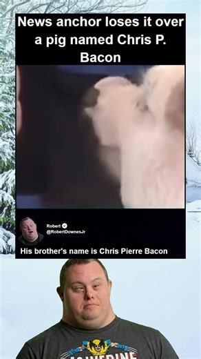 News Anchor Loses It Over Name Of Pig