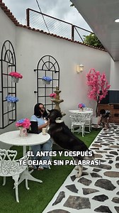 3.8M views · 115K reactions | ¡Sin Palabras! Así Transformamos El Patio En Un Rinconcito de Grecia En Casa #reelsviral #tutorial #reelsfacebook #tendencia | Anny Diseña Crea y Decora | Facebook