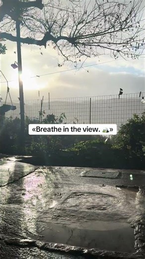 «Σαν πίνακας ζωγραφικής που ζωντάνεψε.»