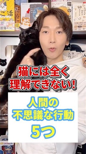猫には全く理解できない！人間の不思議な行動５つ #猫 #猫のいる暮らし #ねこ