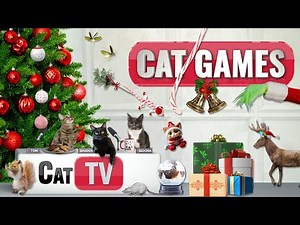 🎄 Ultimate Christmas Cat TV Compilation 🎁 | 6 Hours of Festive Fun for Cats! 🐾