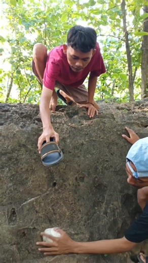 This way is easy to get the guinea pig out #videoshorts #animalsviral