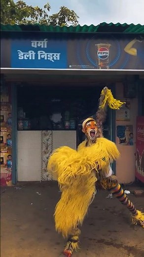 Rajnandgaon Muharram Sher Dance | Muharram Day 3 | Muharram Bilaspur #muharram #sherdance #dhumal