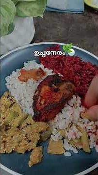 #shortvideo #love #lunch #trendingshorts