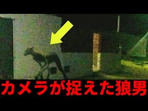【衝撃映像】カメラが捉えたゾッとする未確認生物TOP10【ミステリー】【都市伝説】