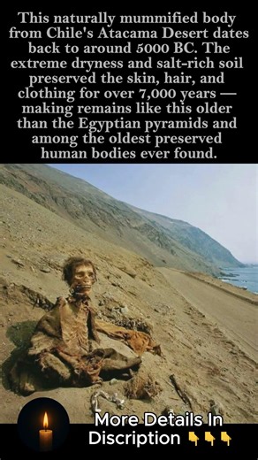 7,000 Years Old — The Mummy That Predates Ancient Egypt