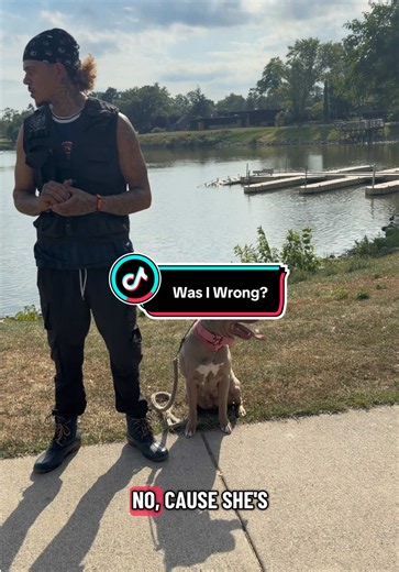 Dm to train! #DogMan #creatorsearchinsights #worththesearch #Dogs | dogs