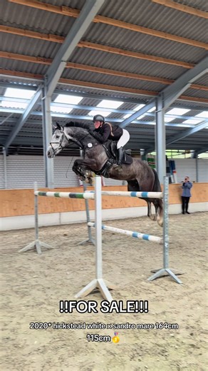 For Sale! Holly meine beste 🥹 Qualitätsvolle 6-jährige Schimmelstute mit Erfolgen in Dressur, Springen und Vielseitigkeit Zum Verkauf steht eine äußerst sympathische und vielseitig veranlagte 6-jährige Schimmelstute mit einem Stockmaß von ca. 164 cm. Abstammend von Hickstead White x Sandro vereint sie moderne Sportpferdequalität mit hervorragendem Charakter. Die Stute ist altersgerecht und erfolgreich auf Turnieren vorgestellt worden: Dressur Dressurreiter A, A Dressur & Dressurpferde A platzie