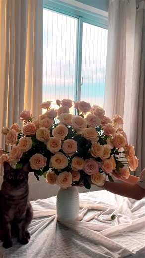 Lotie Phạm trên TikTok