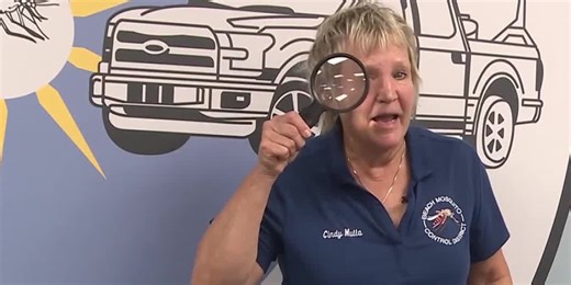 Inside Beach Mosquito Control District