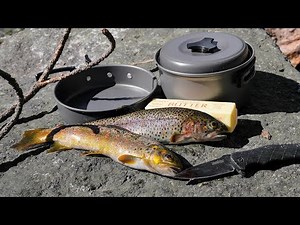 Catch and Cook and Camp Ep. 3 * Solo 2 Night 3 Days in the Wild * No Tent