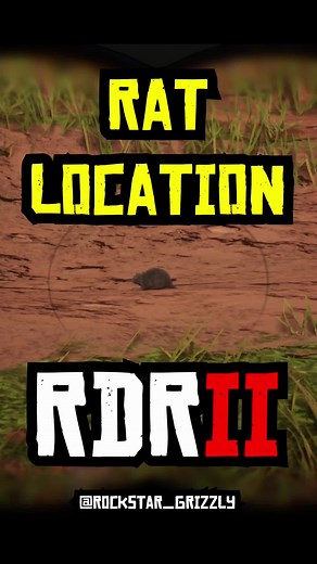 RDR 2 Rat Location Guide