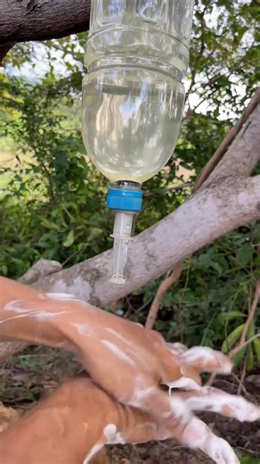 Survival Skills The shows smart ides and useful with soap bushcraft Outdoors camping survival #outdoors #survivalskills #OutdoorAdventure #LifeHack #skills | Hacky Survival