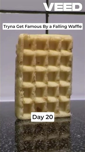 FALLING WAFFLE DAY 20 #meme #youtubeshorts #fallingwaffle #wafflewaffle #waffle