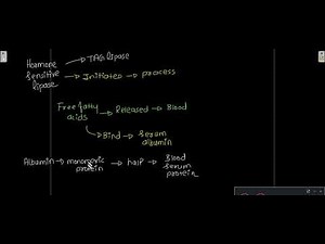Biosynthesis of triacylglycerols