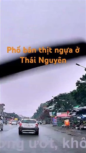 Horse Meat Street in Thai Nguyen |