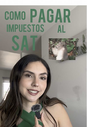 Cómo Declarar Tus Impuestos y Pagar al SAT: Tutorial Completo
