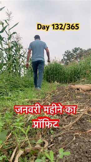 January Mahine Ka Profit🐄| #dairyfarm #dairyfarming #cow #minivlog #shorts