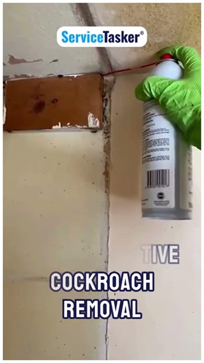 Cockroach Pest Control 🪳🚫 | Get Rid Fast
