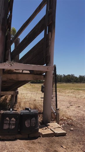 Essential Tips for Handling Heavy Cans Safely