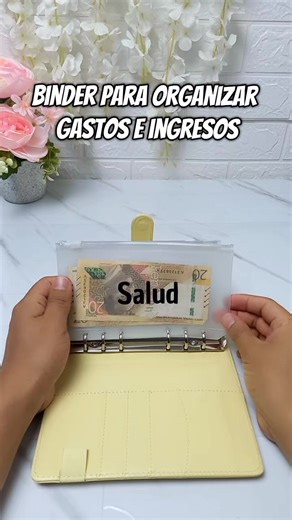 binder para organizar gastos e ingresos #binder #binderdeahorro #organigastos #ahorro #peru