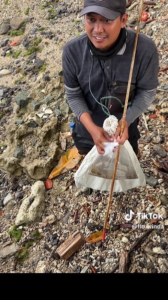 #nelayan #seafood #guritafresh #gurita