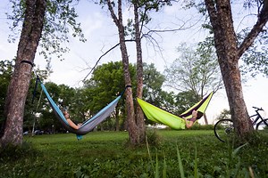 Summer Events in Madison | Your Guide to Summer Fun