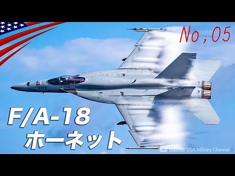 Miraculous Revival Story [F/A-18 Hornet / The Masterpiece of Fighter-Attack Aircraft] Rejected by...