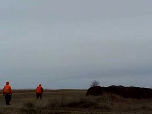 Shooting Clinic: How to shoot a pheasant