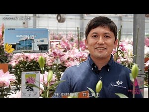 これからのユリについて ㈱中村農園_井上貴由さん