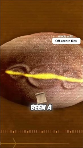 Is this 7,000-year-old stone egg proof of alien genetic engineering?