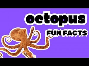 Dive into the Wacky World of Octopuses!