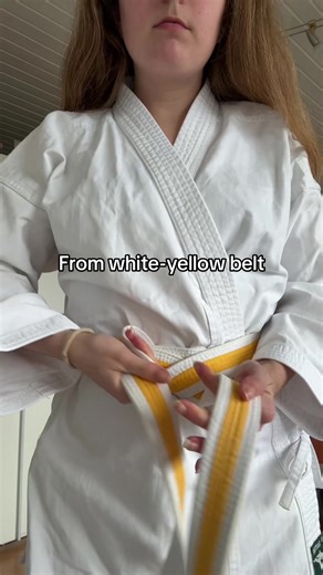 Journey from White-Yellow to Brown Belt in Karate