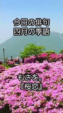 #Haiku recitation #Famous haiku #Mosao #Sakura love