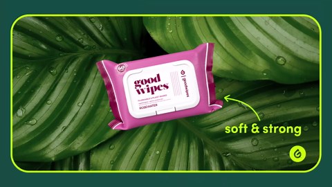 goodwipes Flushable Wipes - Shea-Coco Wet Wipes for Adults, Sewer & Septic Safe, Guest Bathroom Essentials for Women & Men, pH Balanced & Extra Large, 153 Count (3 Packs and 3 Singles)