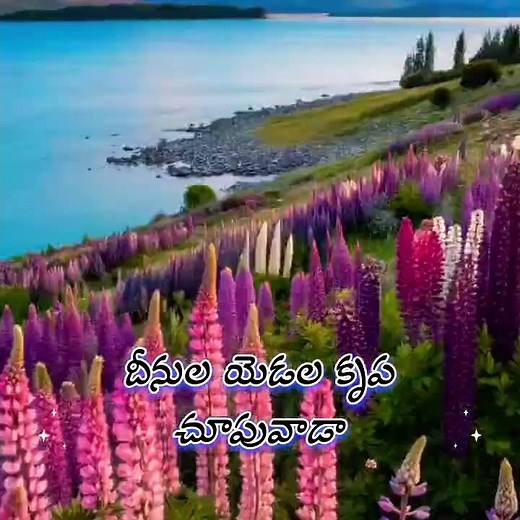 𝐆𝐨𝐨𝐝 𝐦𝐨𝐫𝐧𝐢𝐧𝐠, 𝐇𝐚𝐯𝐞 𝐚𝐁𝐥𝐞𝐬𝐬𝐞𝐝 𝐝𝐚𝐲!!#jesus#promise #nccm