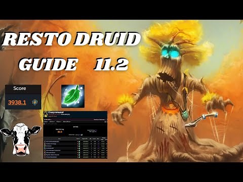 Resto Druid Complete 11.2 Guide M+ and Raid