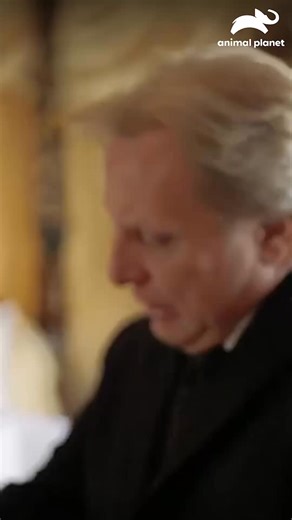 166K views · 3.1K reactions | El capitán Sig del Northwestern interrumpe la faena de pesca para asistir al funeral de su madre #PescaMortal ️☠️ Disfruta el contenido de Discovery en #HBOMax Suscríbete ahora: https://bit.ly/MAX-AnimalPlanetLa | Animal Planet Latinoamérica | Facebook