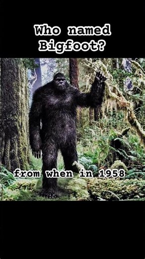 Who Named Bigfoot? #foryou #scary #bigfoot #cryptids
