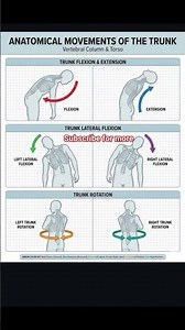 Anatomical Movements of Body Parts Explained | Flexion, Extension, Abduction, Adduction #humanbody