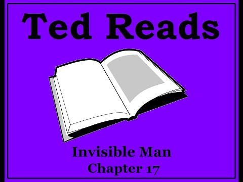 Invisible Man Ralph Ellison Chapter 17