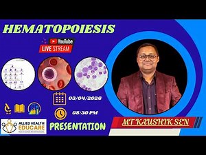 Hematopoiesis | Blood Cells Formation