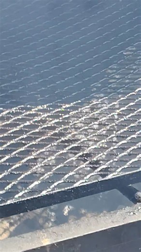 Today | Aubrey Brown