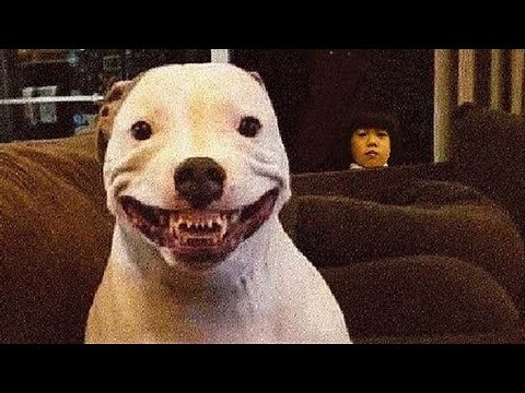 ALL OF r/ODDLYTERRIFYING