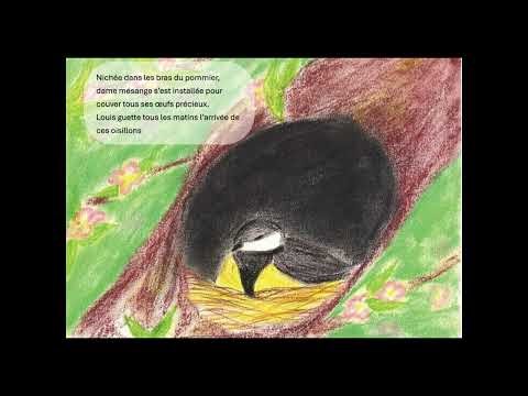 Plume d'amour | Conte musical poétique | Histoire en musique pour enfants