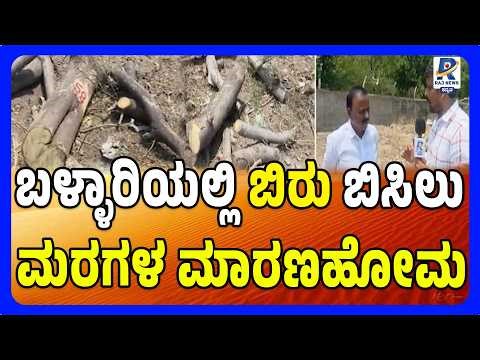 Bellary Tree Cutting Amid Scorching Heat | ಬಿಸಿಲಿನ ಬೇಗೆಗೆ ತತ್ತರಿಸಿದ ಬಳ್ಳಾರಿ ನಗರದಲ್ಲಿ ಮರಗಳ ಮಾರಣಹೋಮ