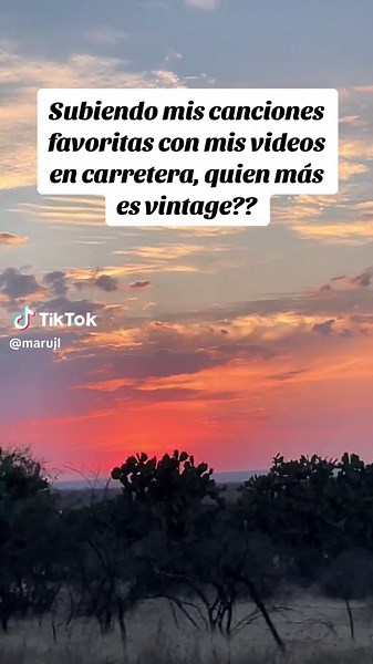 Natalie Gauvreau and 50 Cent Crimson and Clover Vintage Music Video Compilation